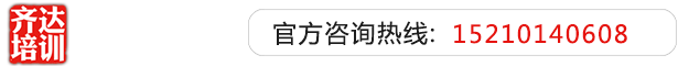 我爱插入精品逼齐达艺考文化课-艺术生文化课,艺术类文化课,艺考生文化课logo